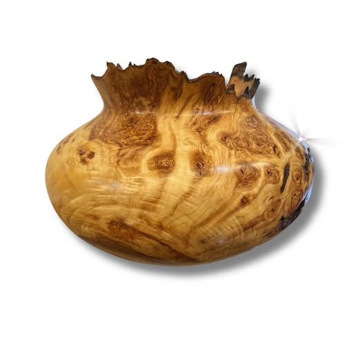 JW-245 Colorado Aspen Burl Hollow Woodturning $1100 at Hunter Wolff Gallery